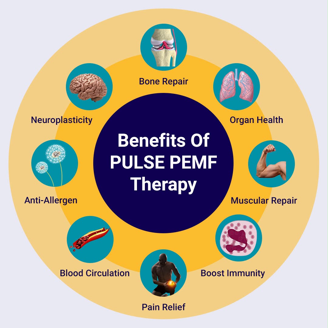 Illustrated guide to areas of wellness that PEMF may support